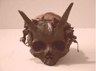 Загадки странных черепов, рогатый череп