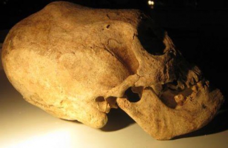 Загадки странных черепов, омский череп