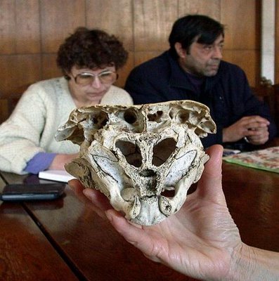 Загадки странных черепов, болгарский уникум
